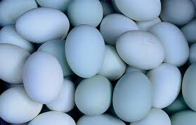duck eggs all natural